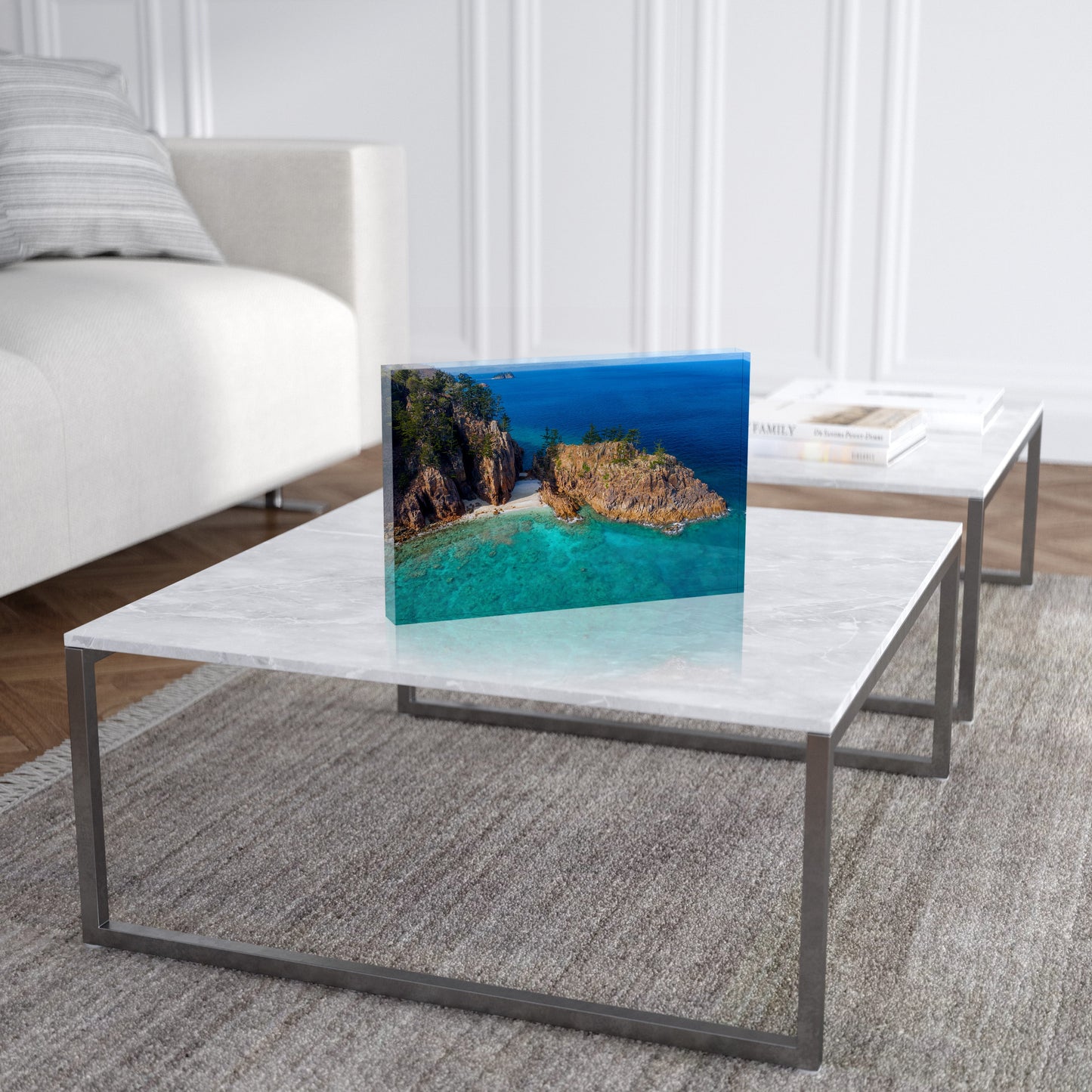 Dolphin Point - Acrylic ICE Block