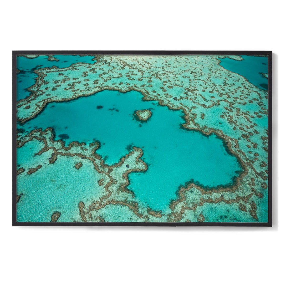 Heart Reef - Framed Print
