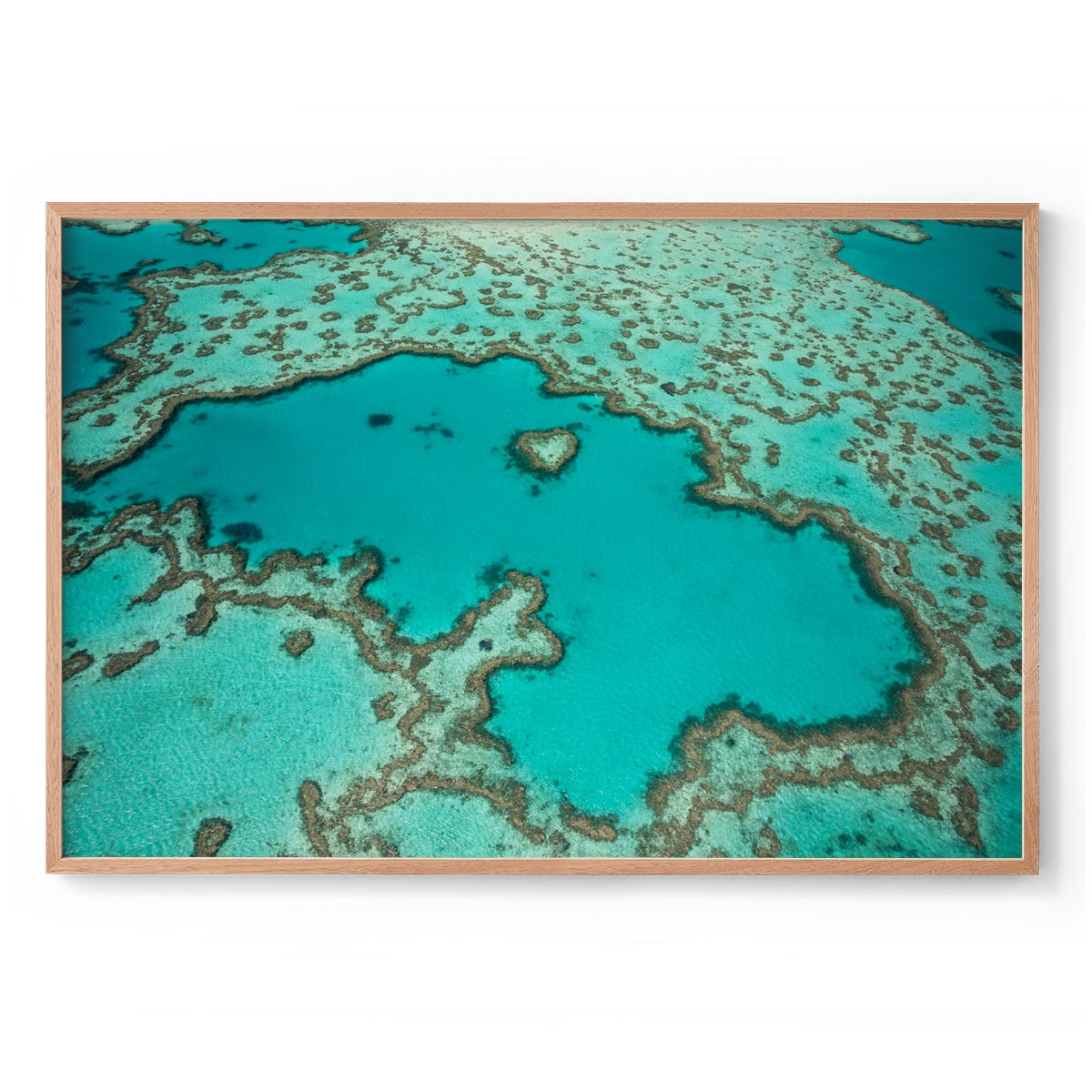 Heart Reef - Framed Print