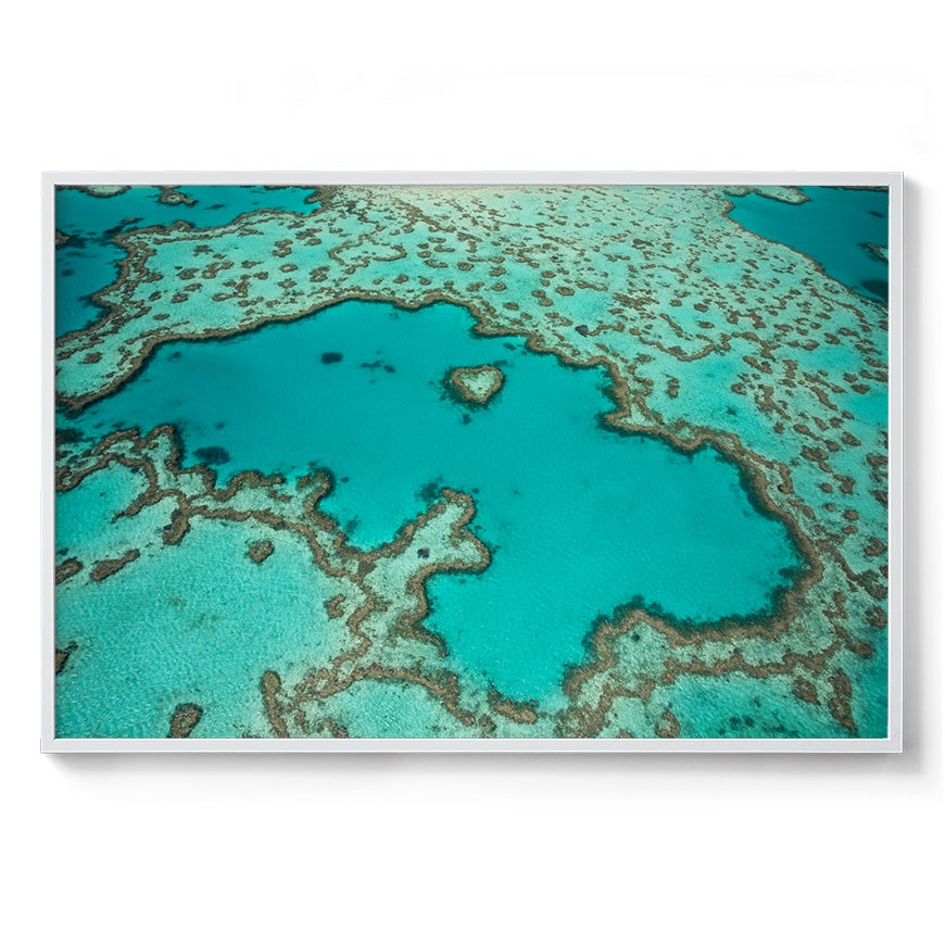 Heart Reef - Framed Print