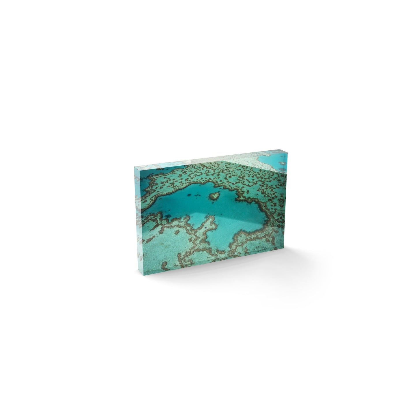 Heart Reef - Acrylic ICE Block