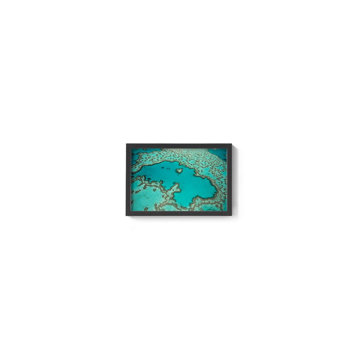 Heart Reef - Framed Print