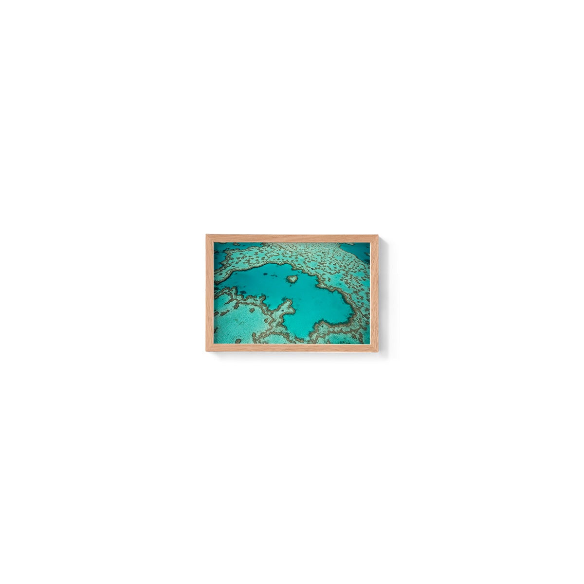 Heart Reef - Framed Print