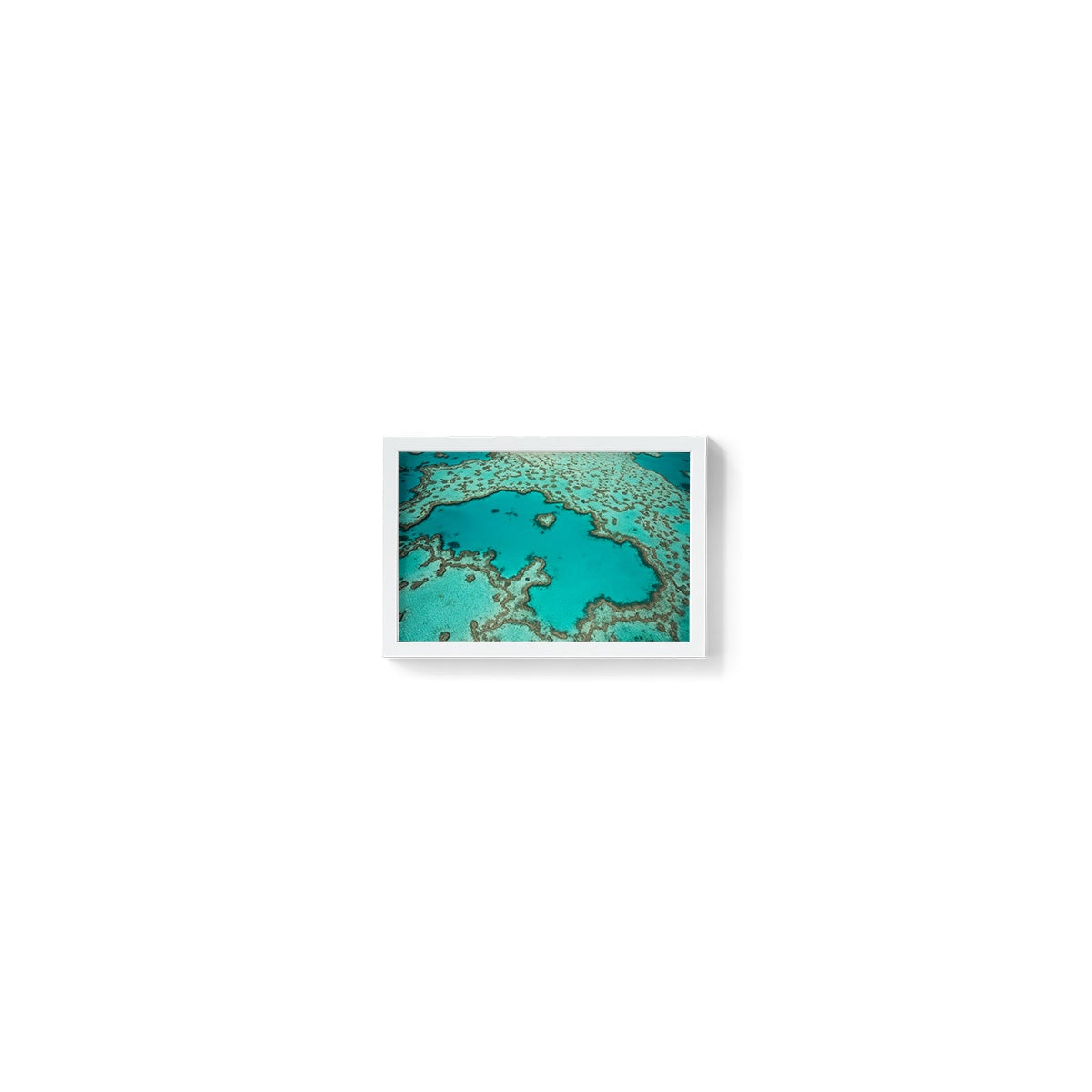 Heart Reef - Framed Print