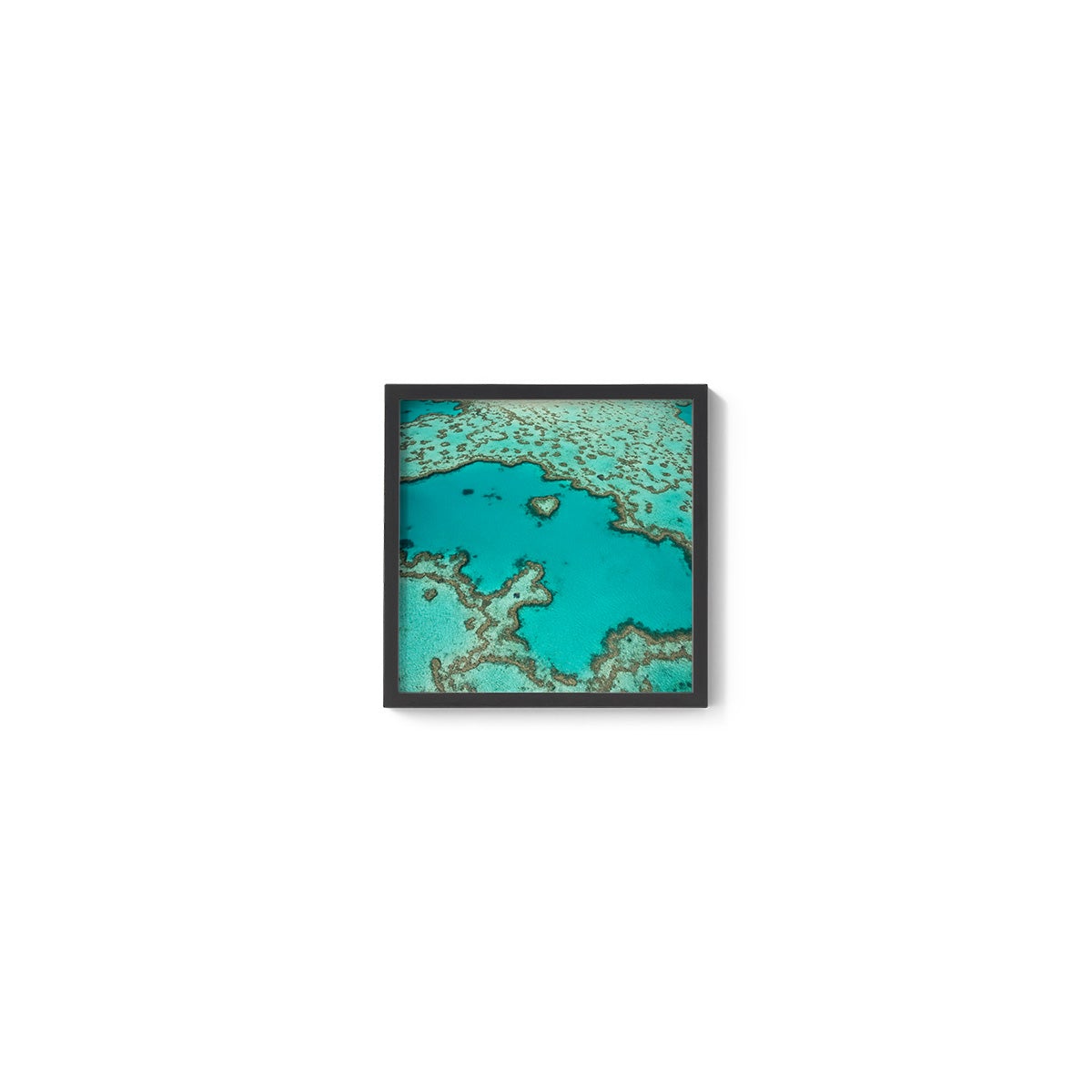 Heart Reef - Square Framed Print