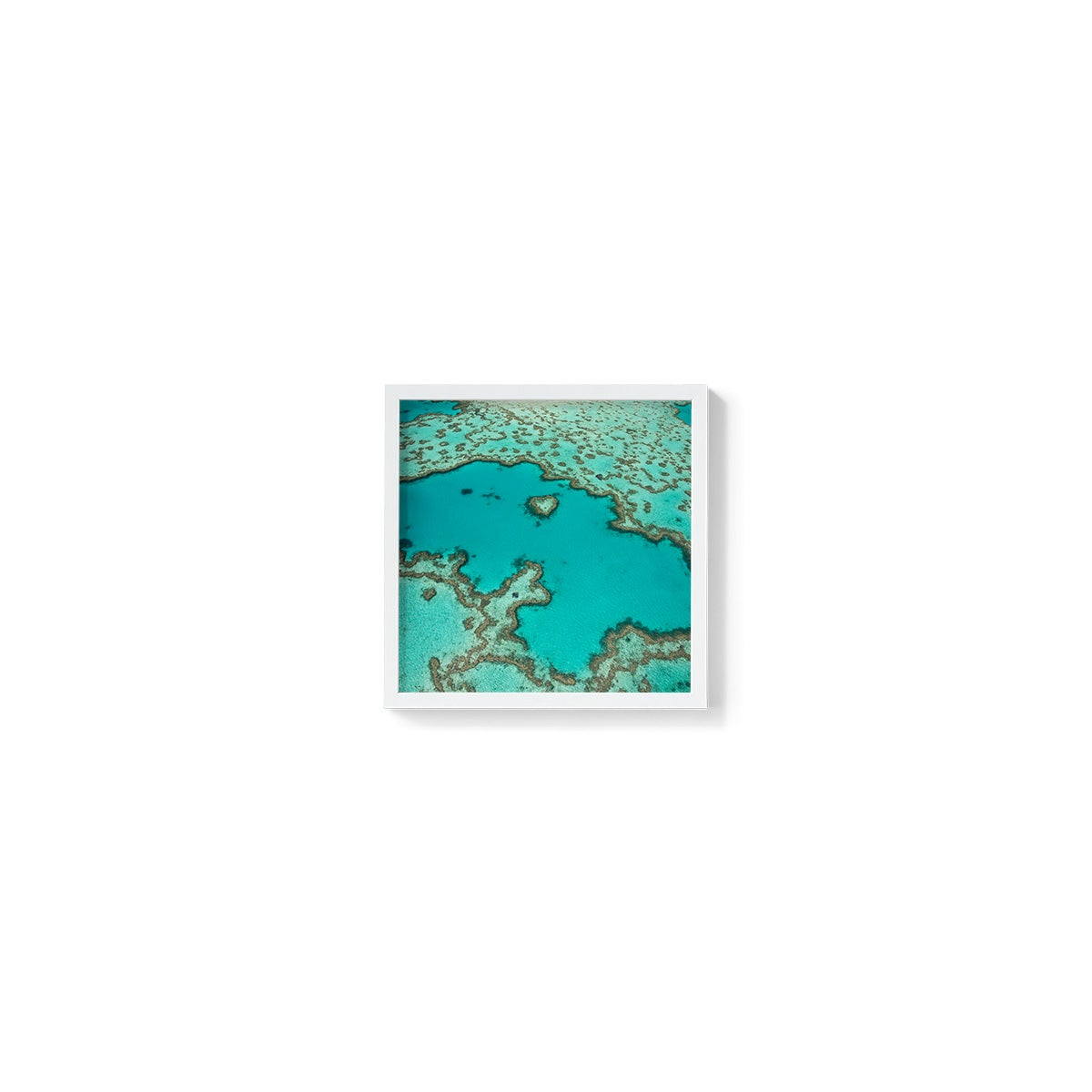 Heart Reef - Square Framed Print