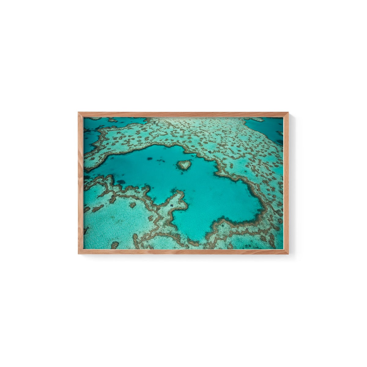 Heart Reef - Framed Print