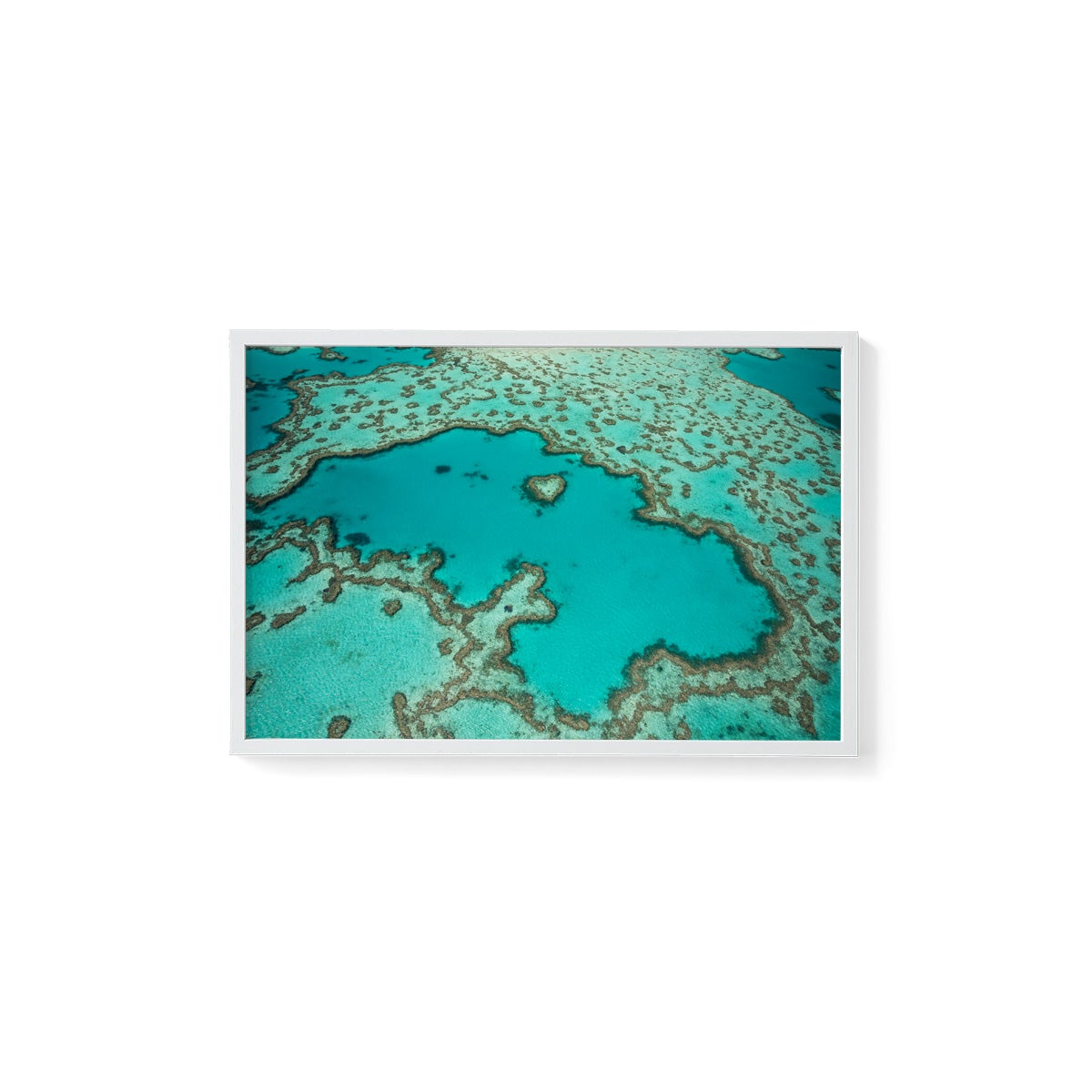 Heart Reef - Framed Print