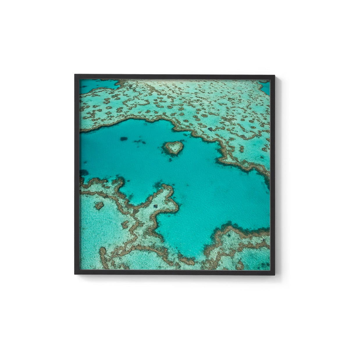 Heart Reef - Square Framed Print