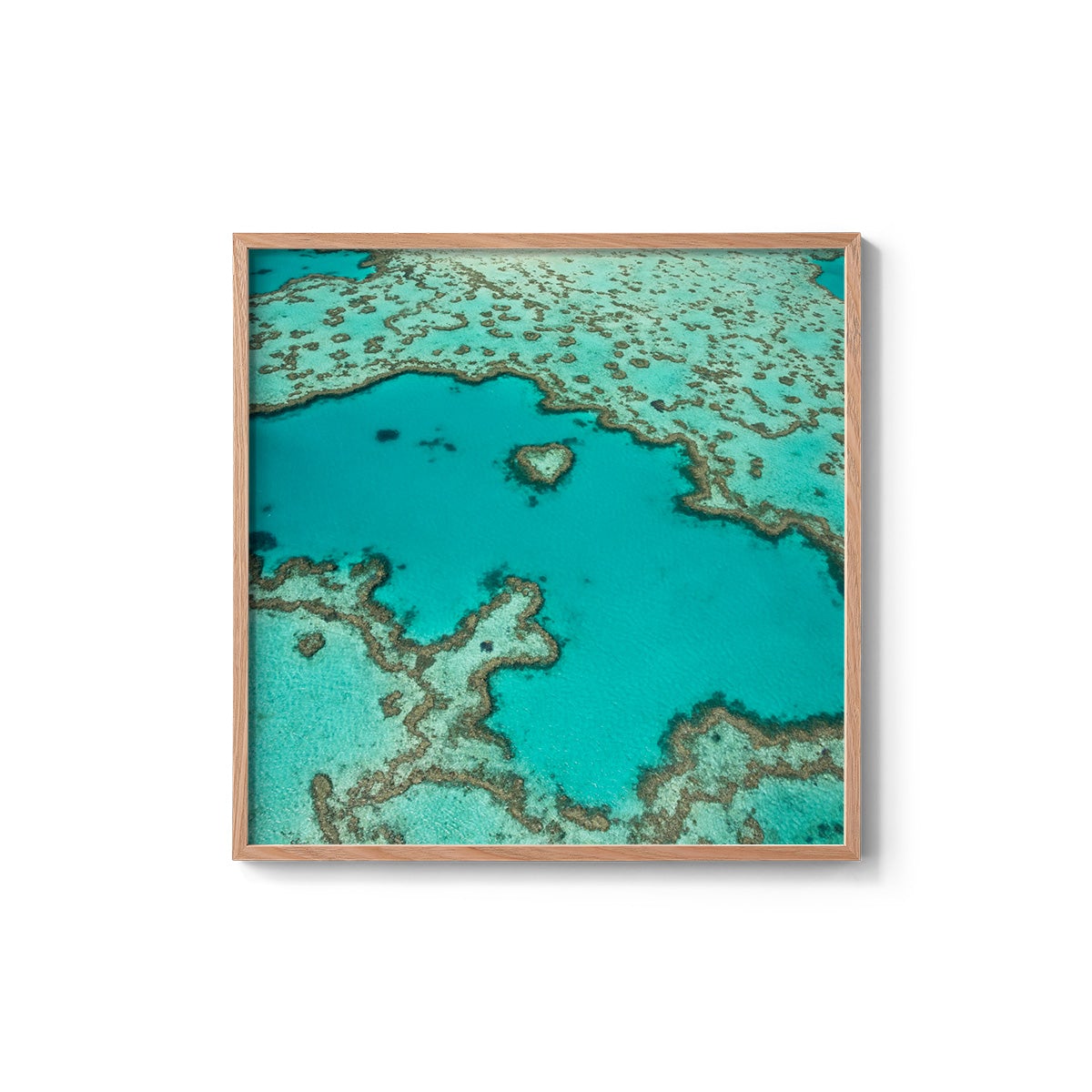 Heart Reef - Square Framed Print