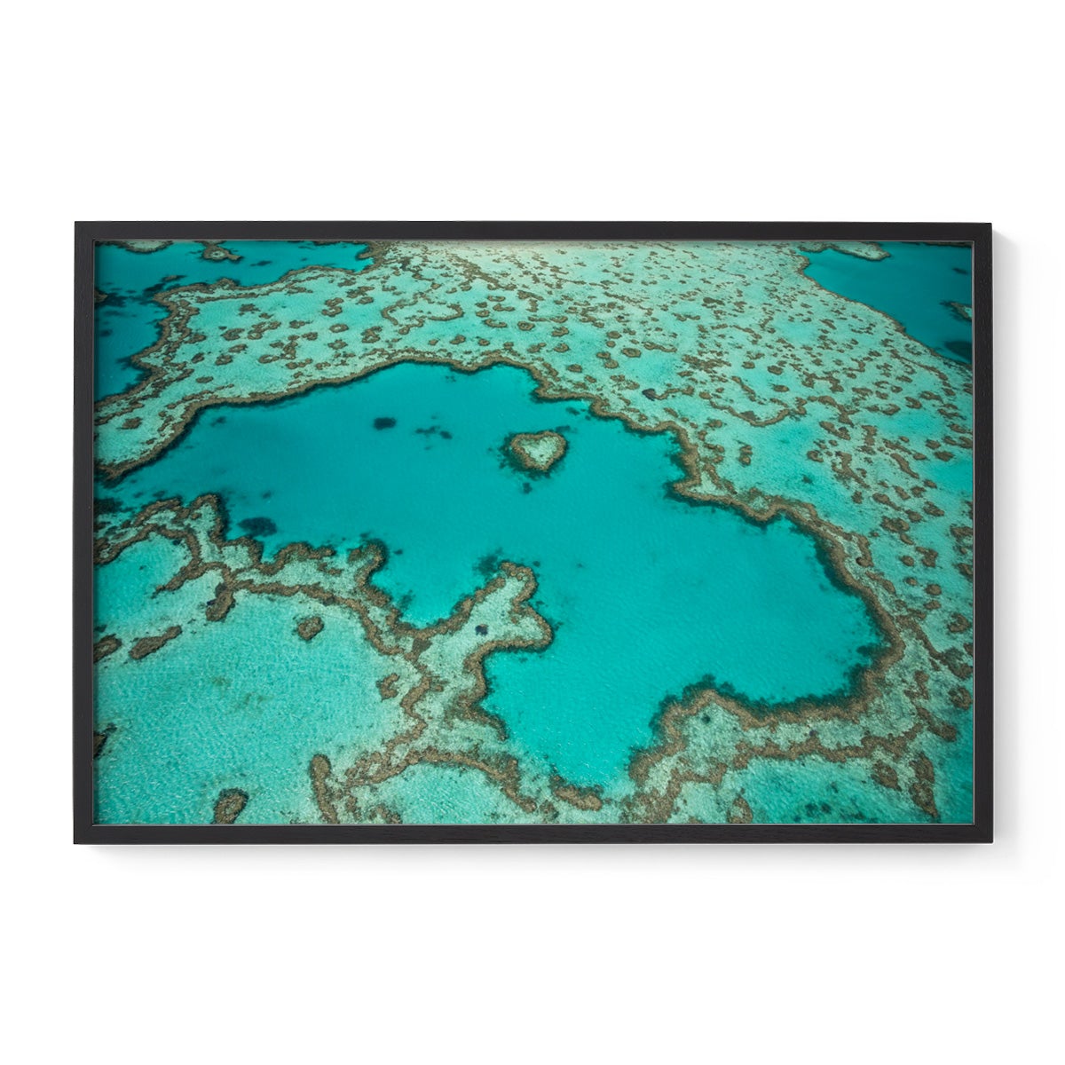 Heart Reef - Framed Print