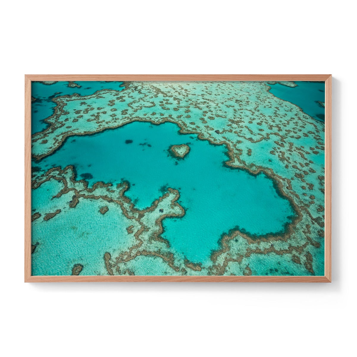 Heart Reef - Framed Print