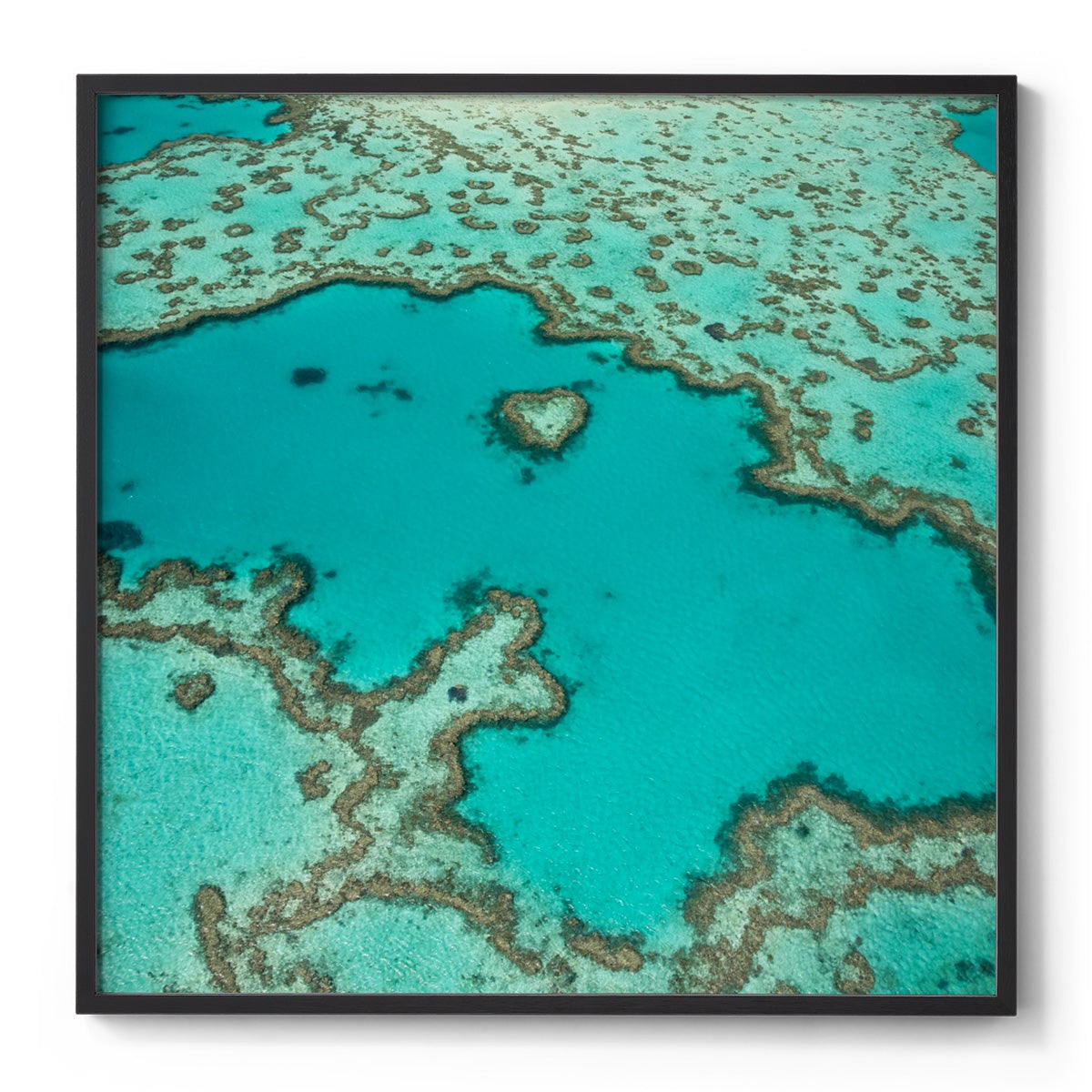 Heart Reef - Square Framed Print