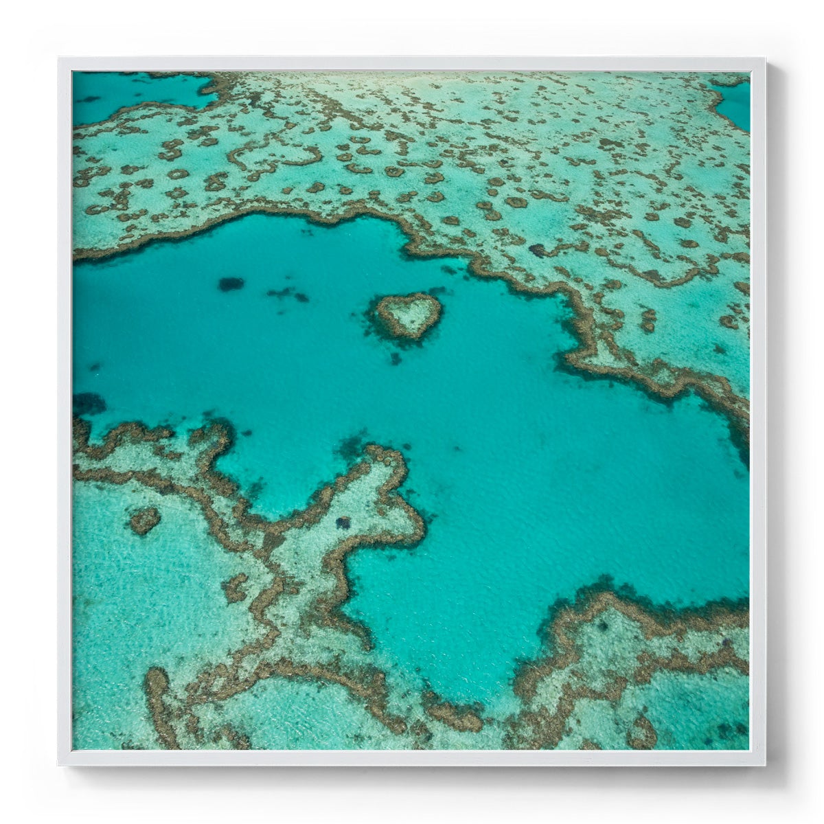 Heart Reef - Square Framed Print