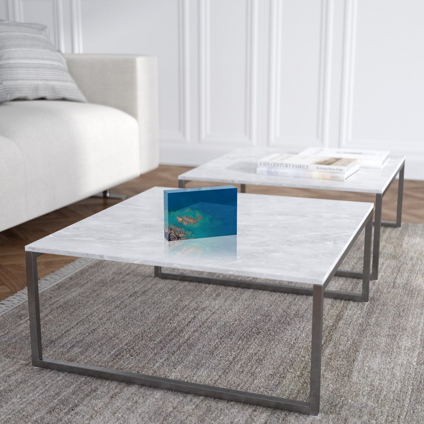 Langford Island Fringe Reef Abstract #1 - Acrylic ICE Block