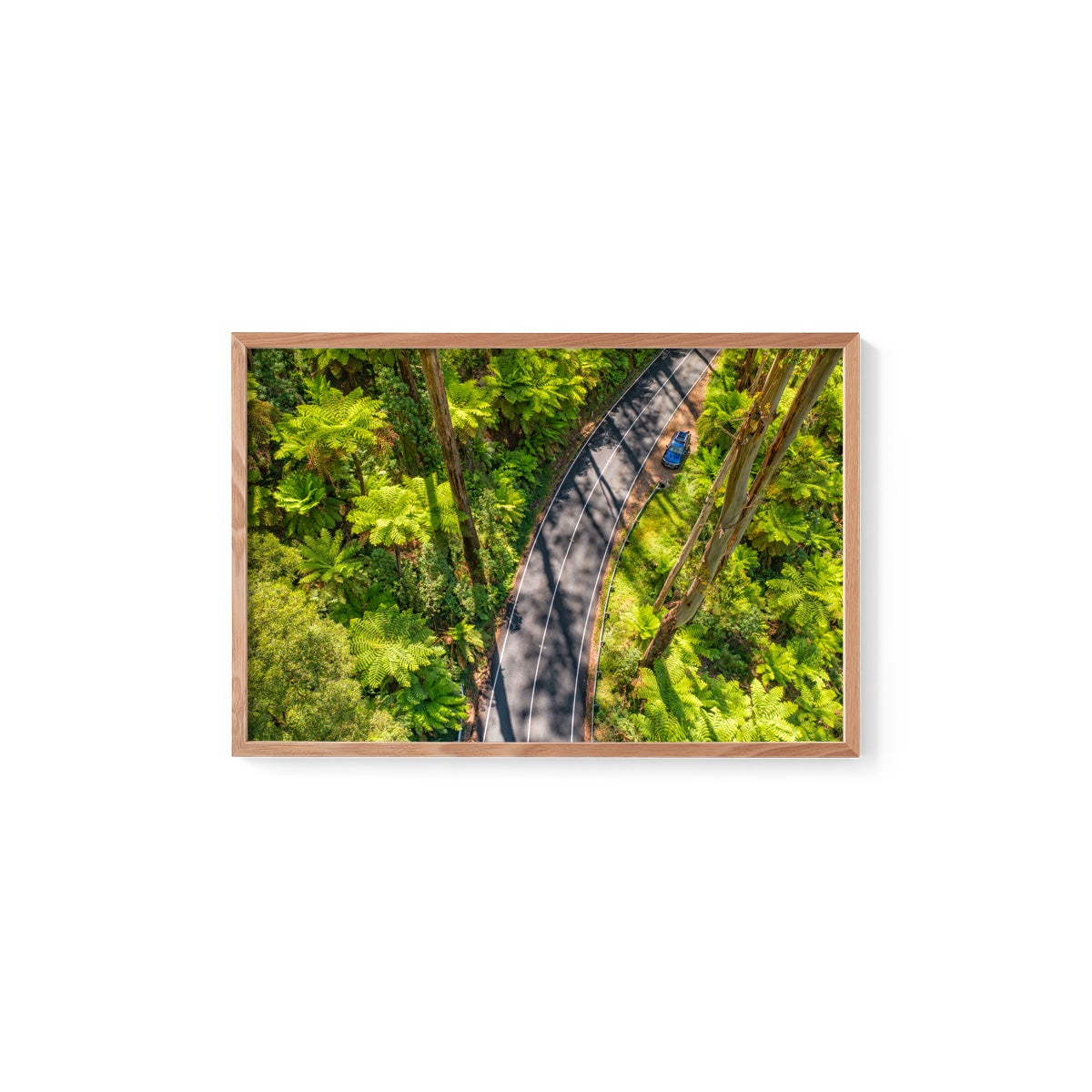 Black Spur Road #5 - Framed Print