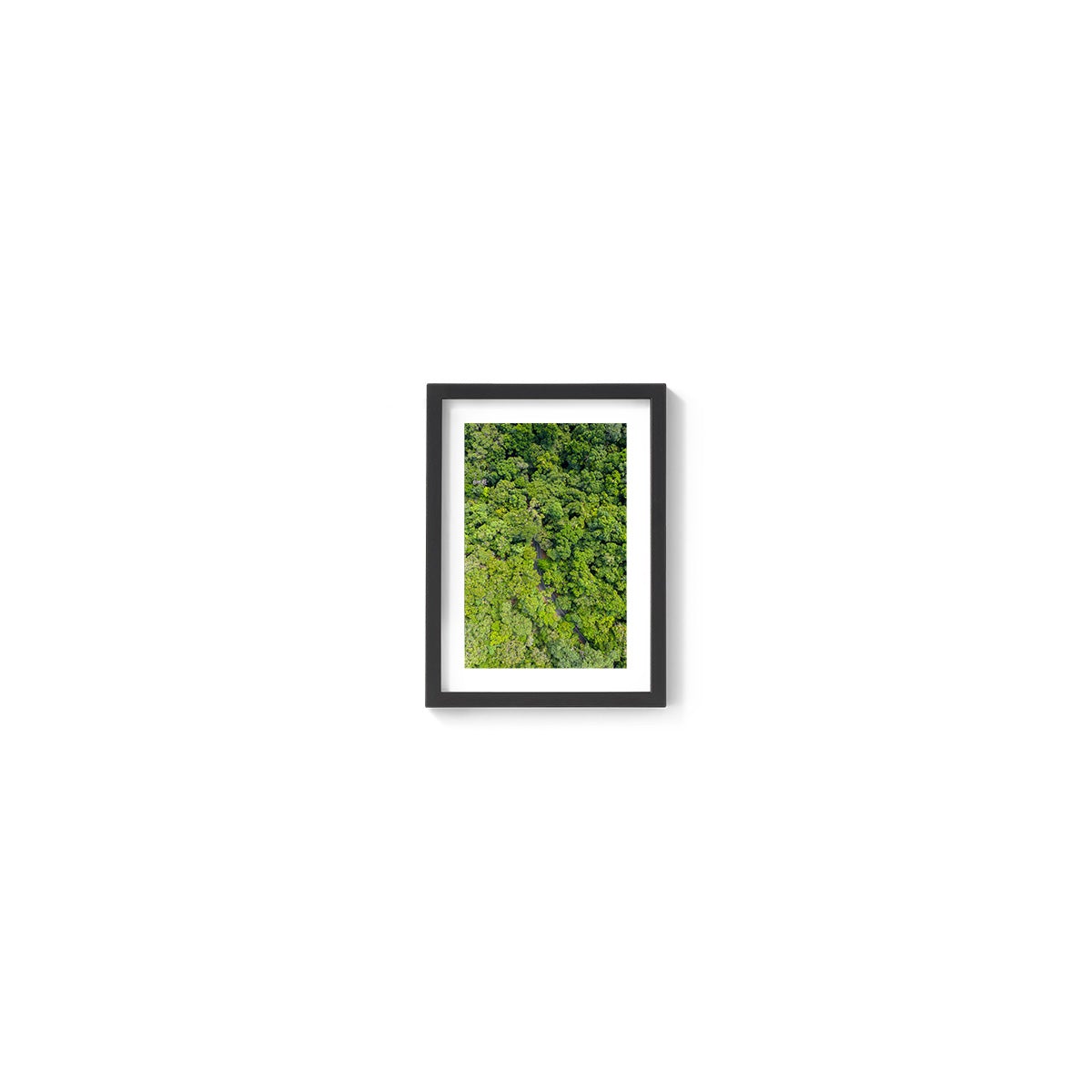 Cape Tribulation Road #1 - Framed Print