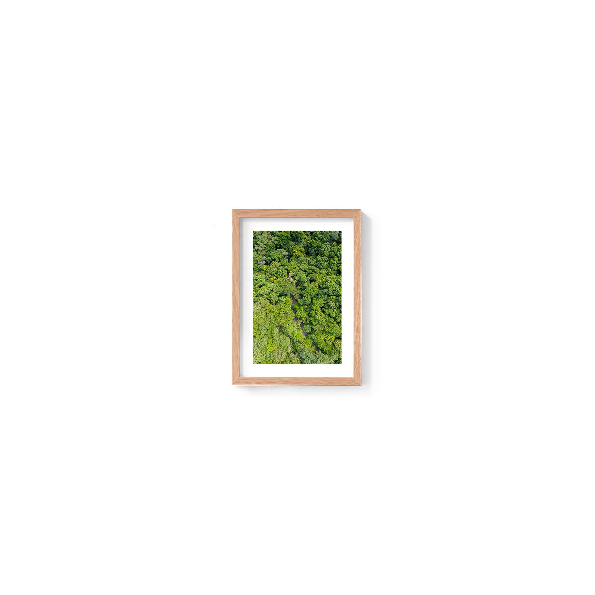 Cape Tribulation Road #1 - Framed Print