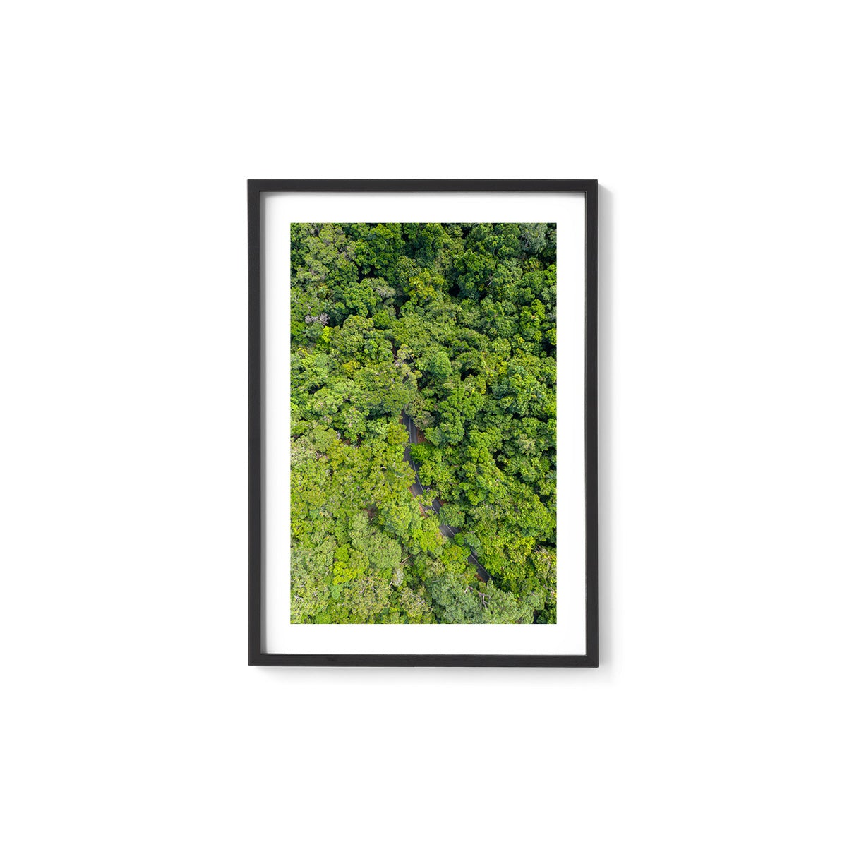 Cape Tribulation Road #1 - Framed Print