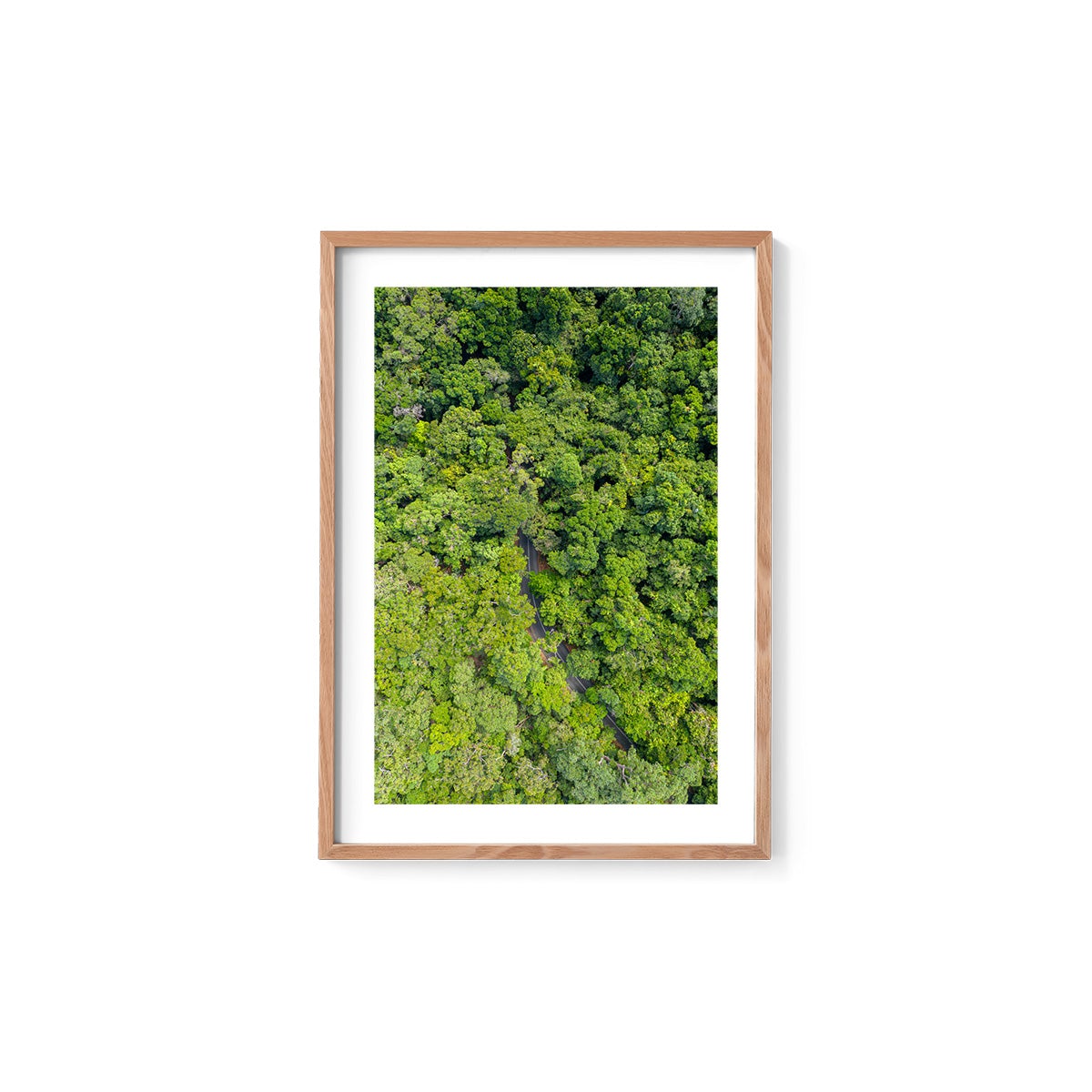 Cape Tribulation Road #1 - Framed Print