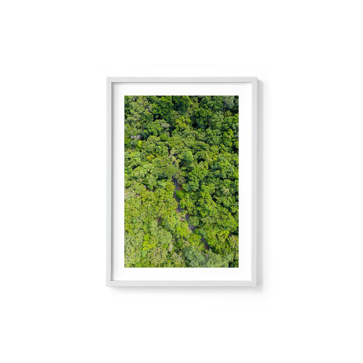 Cape Tribulation Road #1 - Framed Print