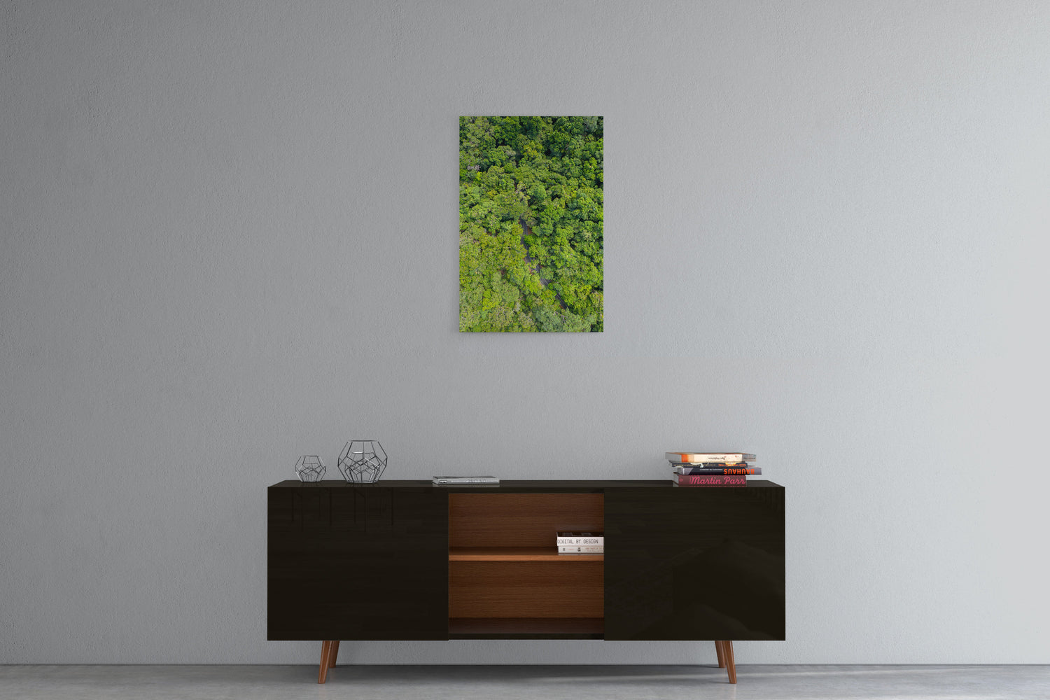Cape Tribulation Road #1 - Acrylic Print