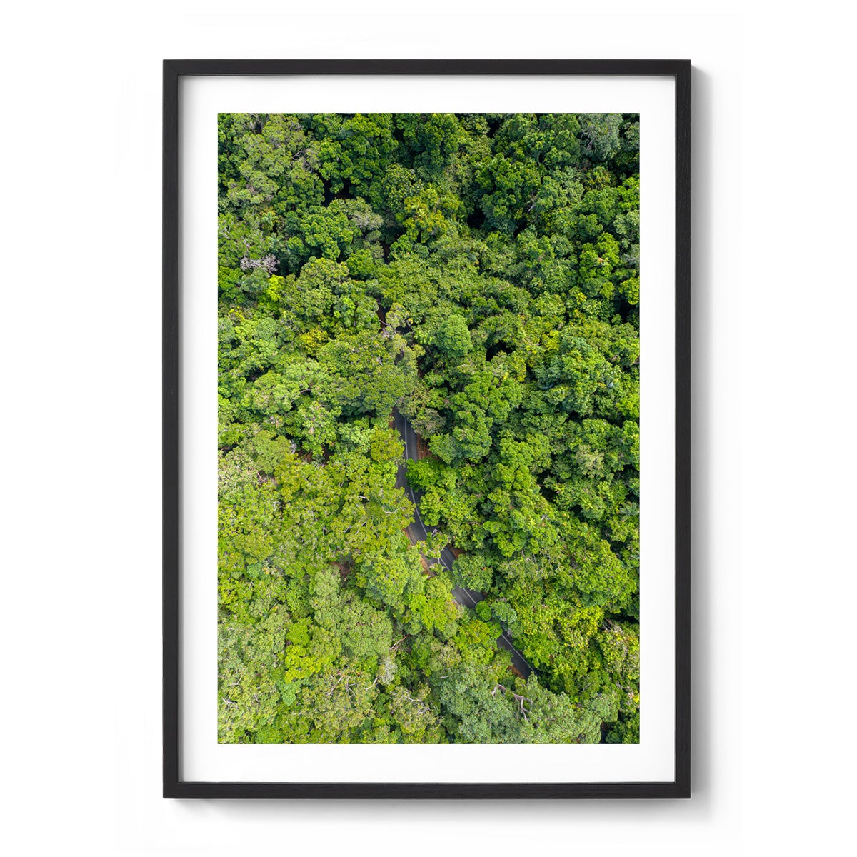 Cape Tribulation Road #1 - Framed Print