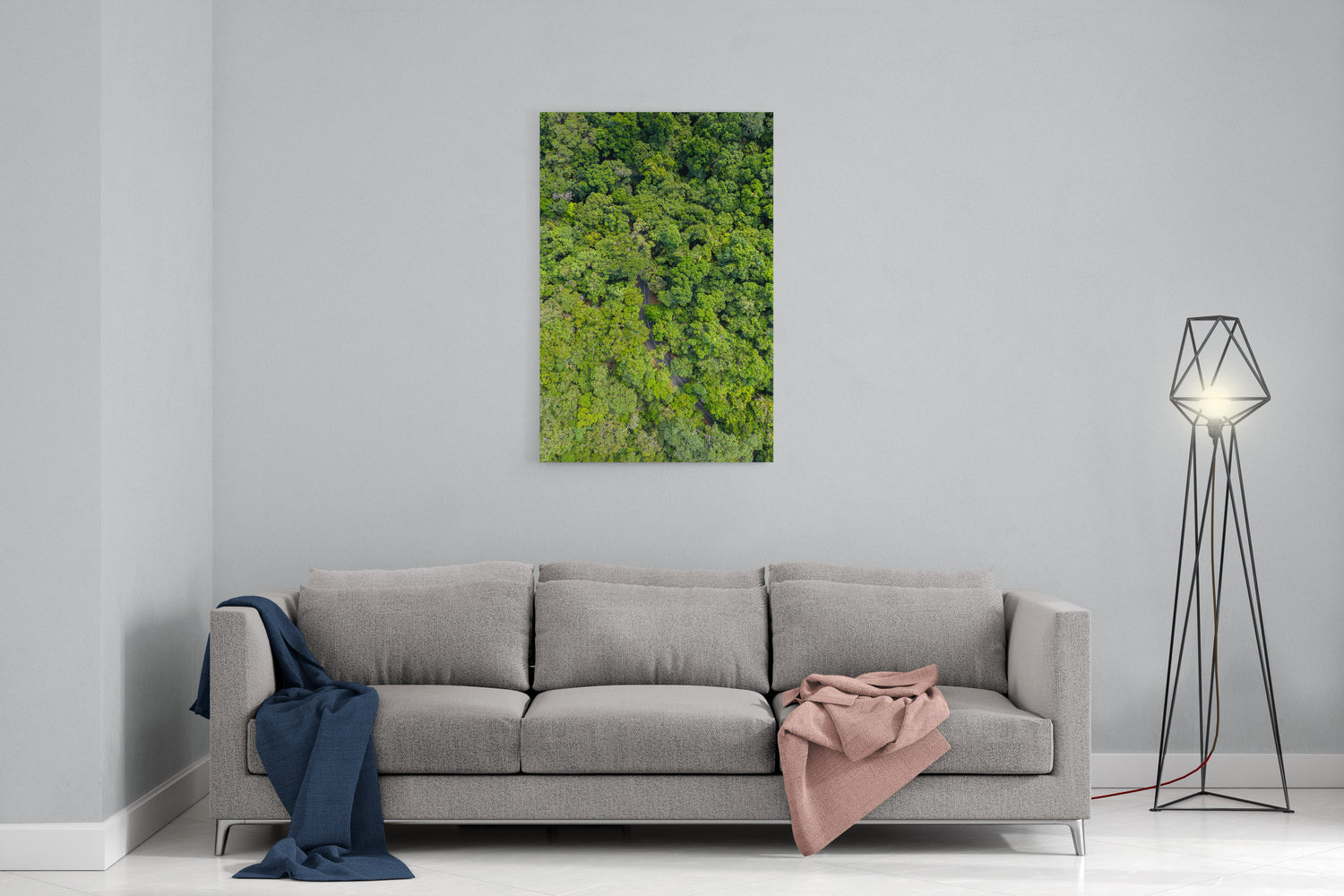 Cape Tribulation Road #1 - Acrylic Print
