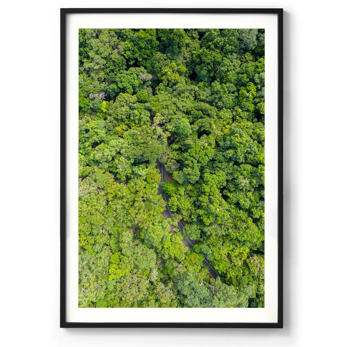 Cape Tribulation Road #1 - Framed Print