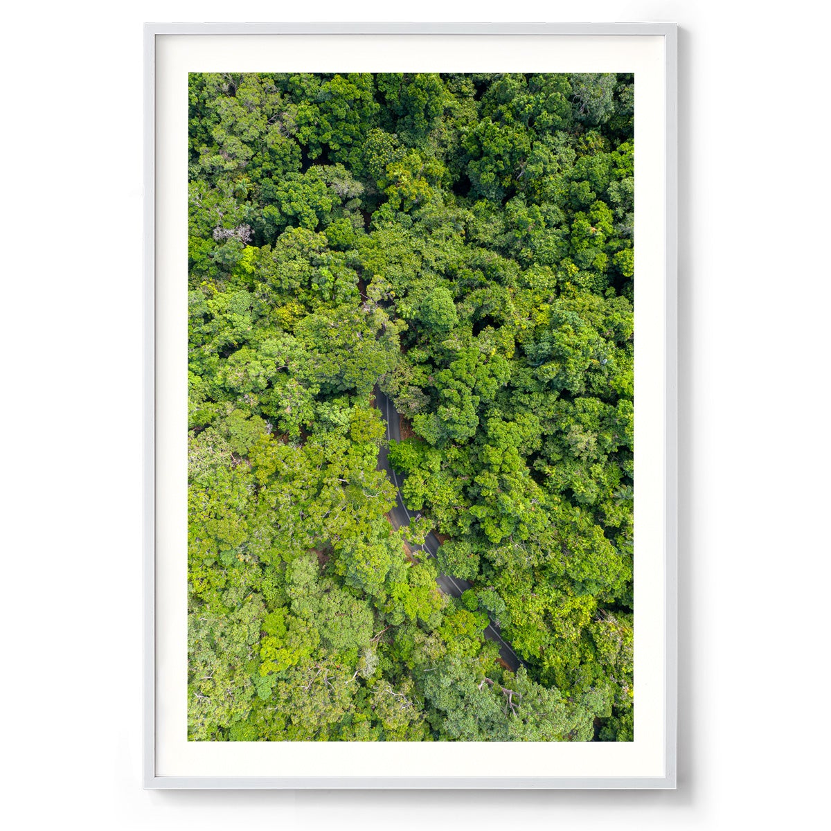 Cape Tribulation Road #1 - Framed Print