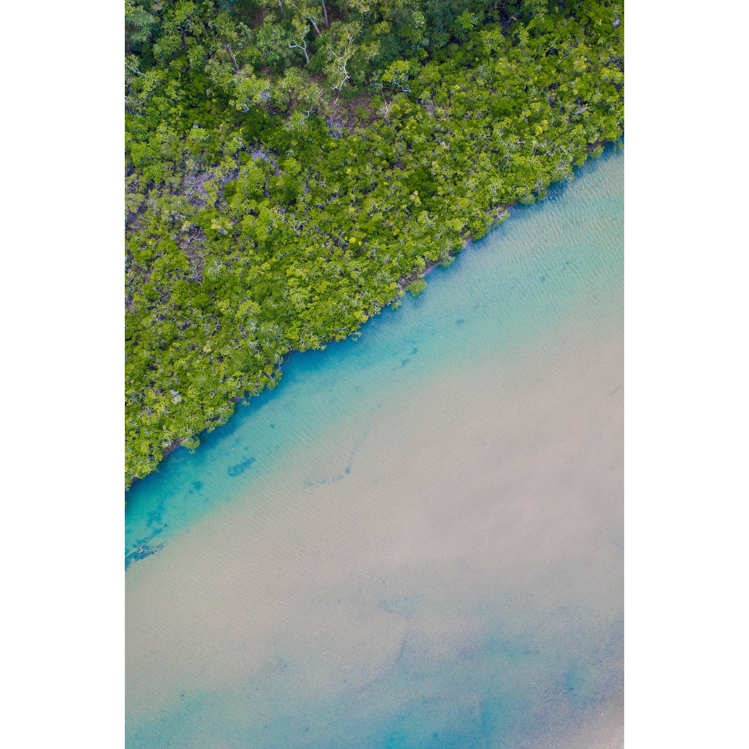 Noah Creek - Acrylic Print