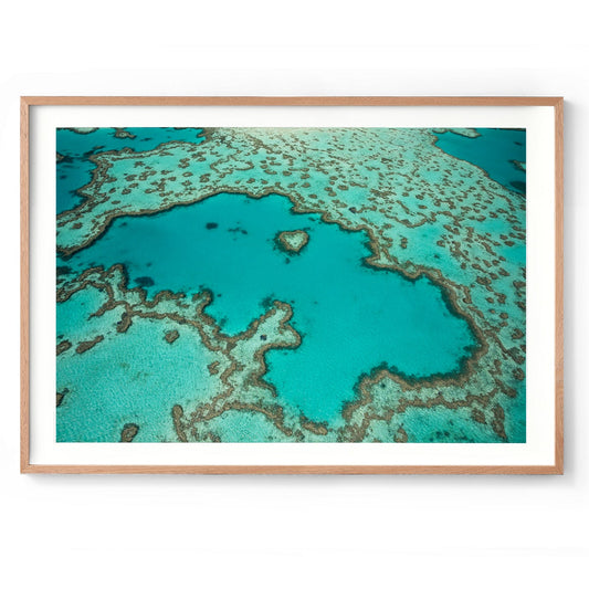 Heart Reef - Framed Print