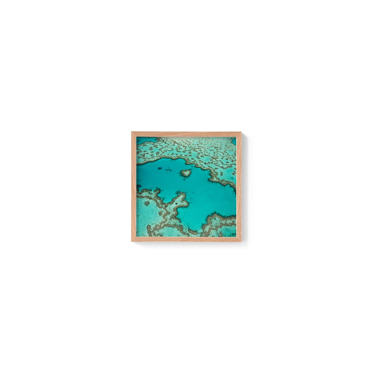 Heart Reef - Square Framed Print