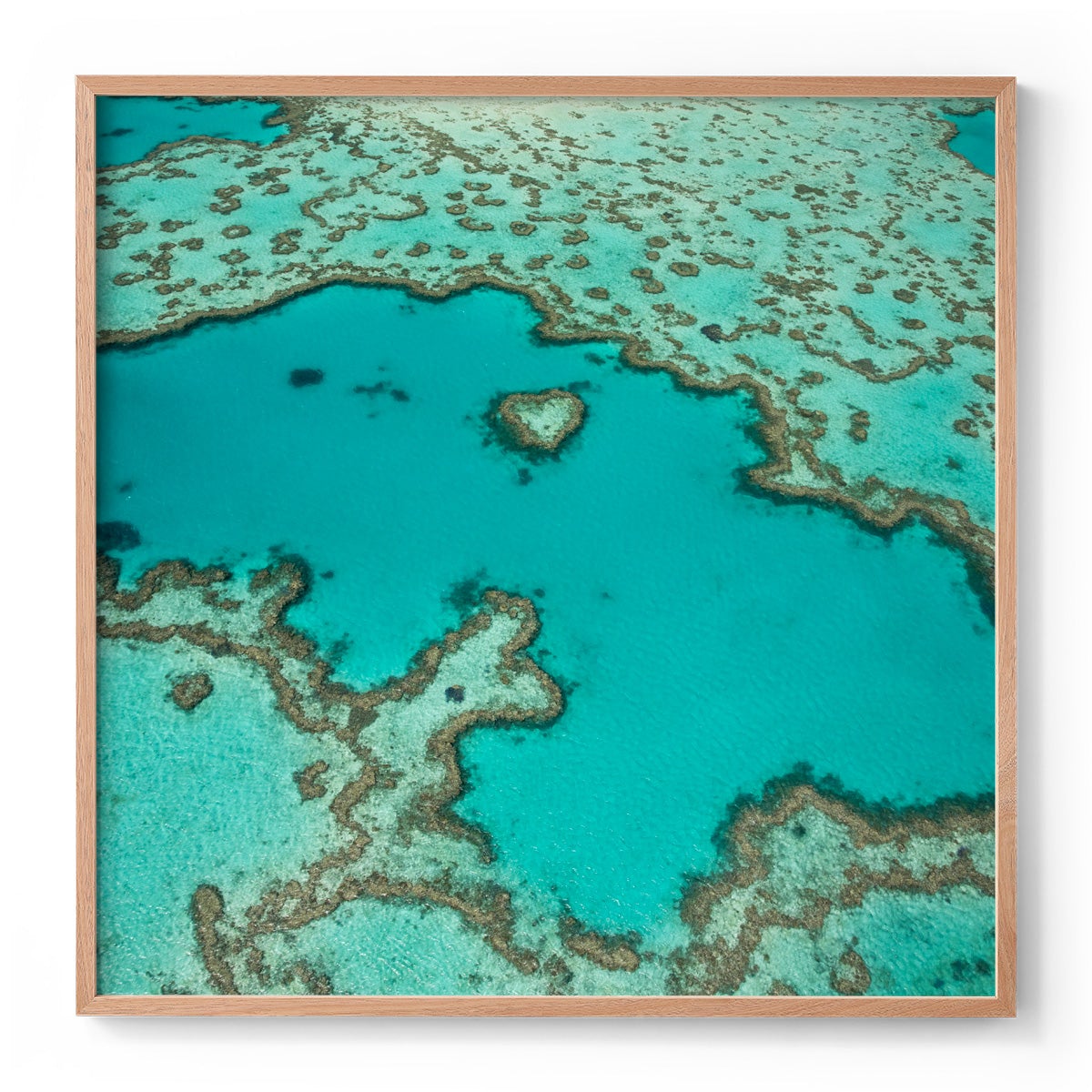 Heart Reef - Square Framed Print
