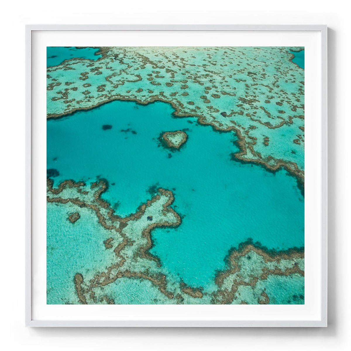 Heart Reef - Square Framed Print